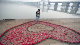 Young man declares his love by 600 roses