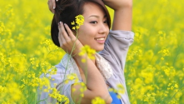 Romance of yellow flowers in Hanoi