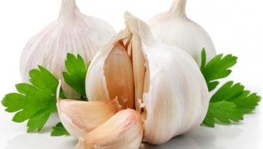 Garlic, the world's healthiest herb