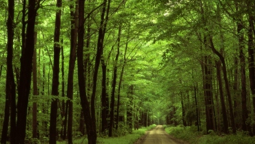Cat Tien National Park - An eco-tourism destination in Vietnam